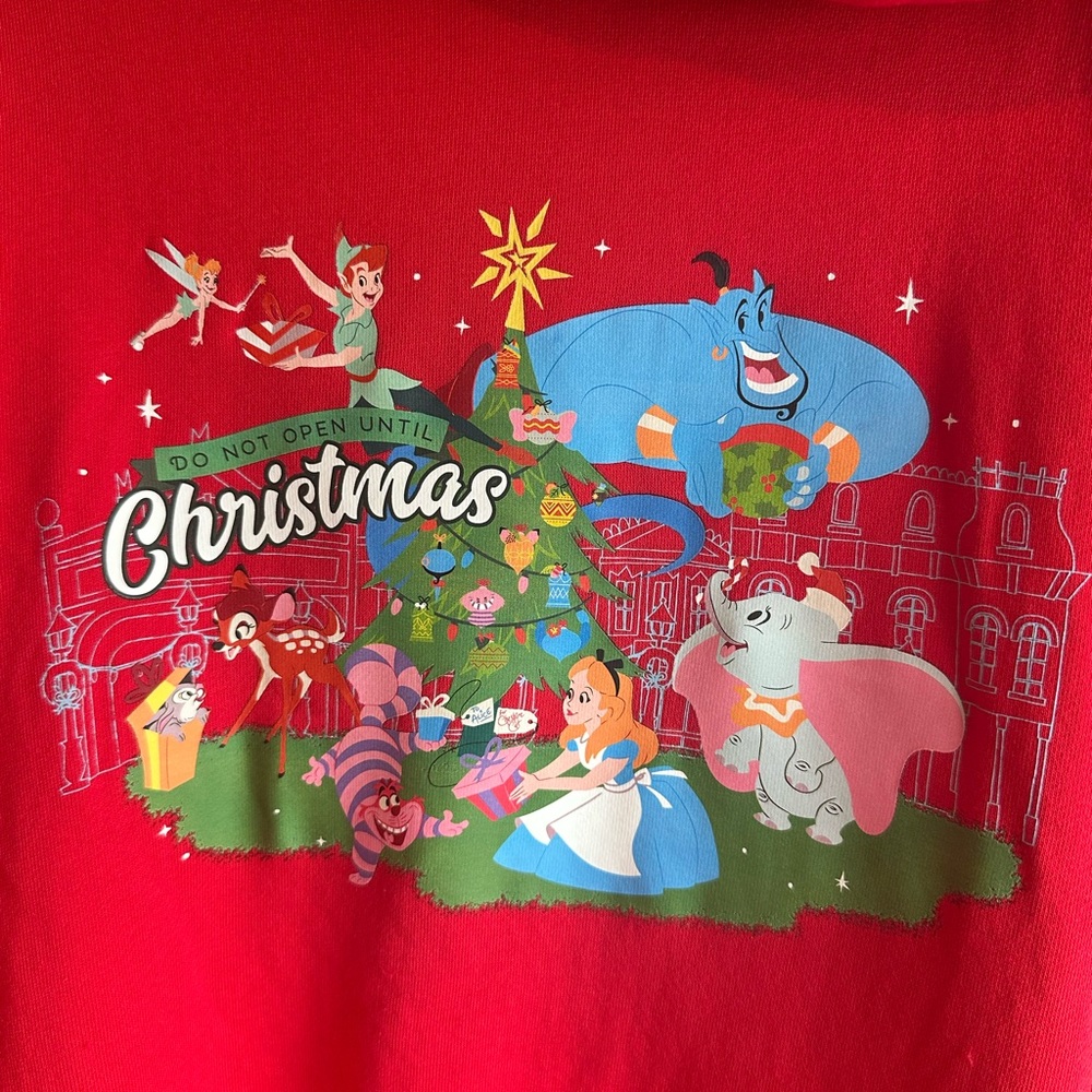 EUC Adult Large Disney Classics Christmas Pullover Hoodie